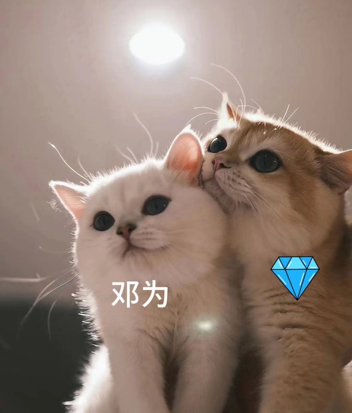 -早晚安宝宝放心吧 咱有在好好生活哦～最爱你啦- 