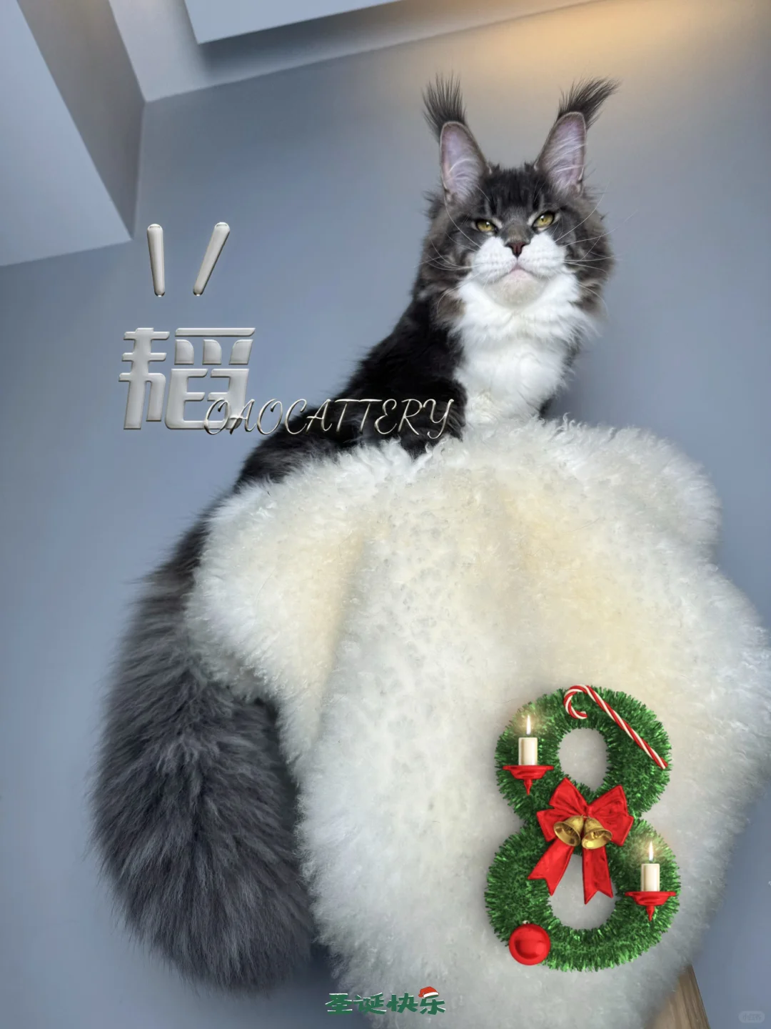 祝愿我们的生活，都挂满希望和快乐🎉