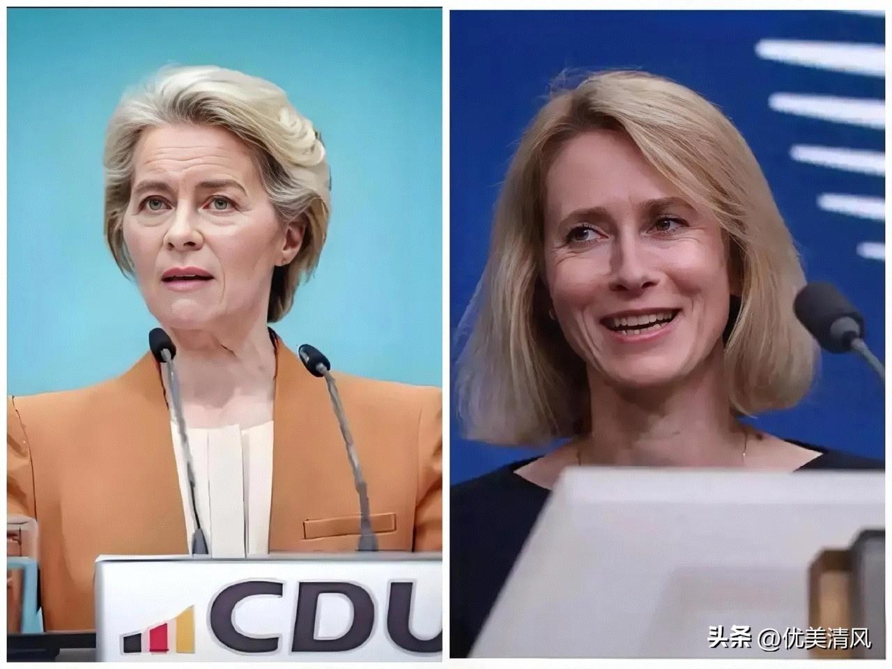 欧盟对我们的这则“禁令”一出，国内不少网友忙说“谢谢”！欧盟宣布：禁止中国参与总