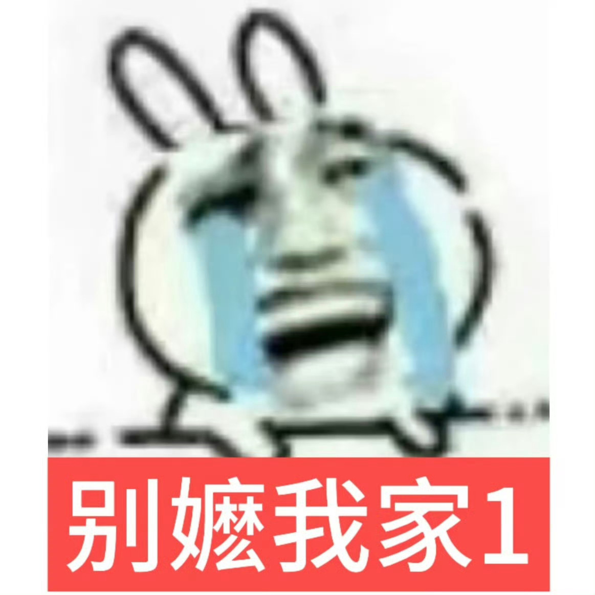 分享图片 