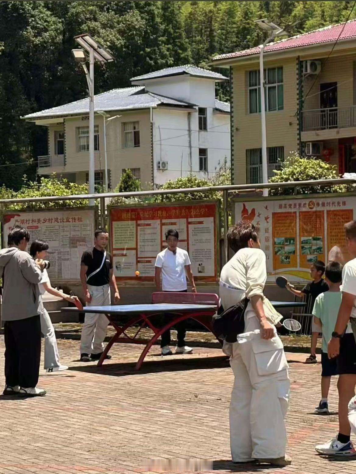 赵雅芝撒贝宁被7岁小孩打败了 撒贝宁负责把球打飞，7岁小朋友负责稳稳接住，赵雅芝