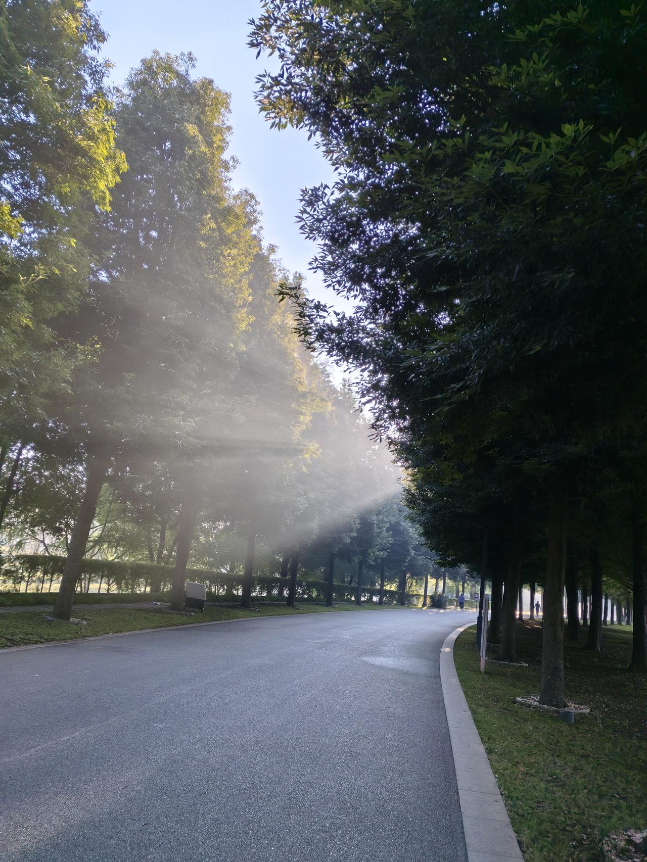 1.费尽心思，寻而不得，结果却在无意之中偶然获得，此之谓，有心栽花花不开，无心插