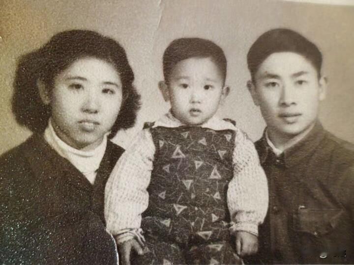 家族史并不是一种简单的历史记录，而是通过讲述几代人的命运起伏变化来反映社会演进与