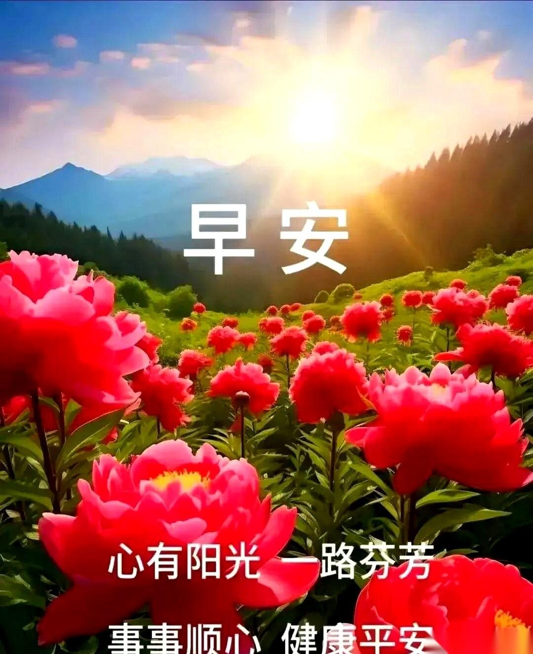这天儿一凉，人就容易胡思乱想。
手机翻来翻去，看到你的头像，突然就想跟你说几句。