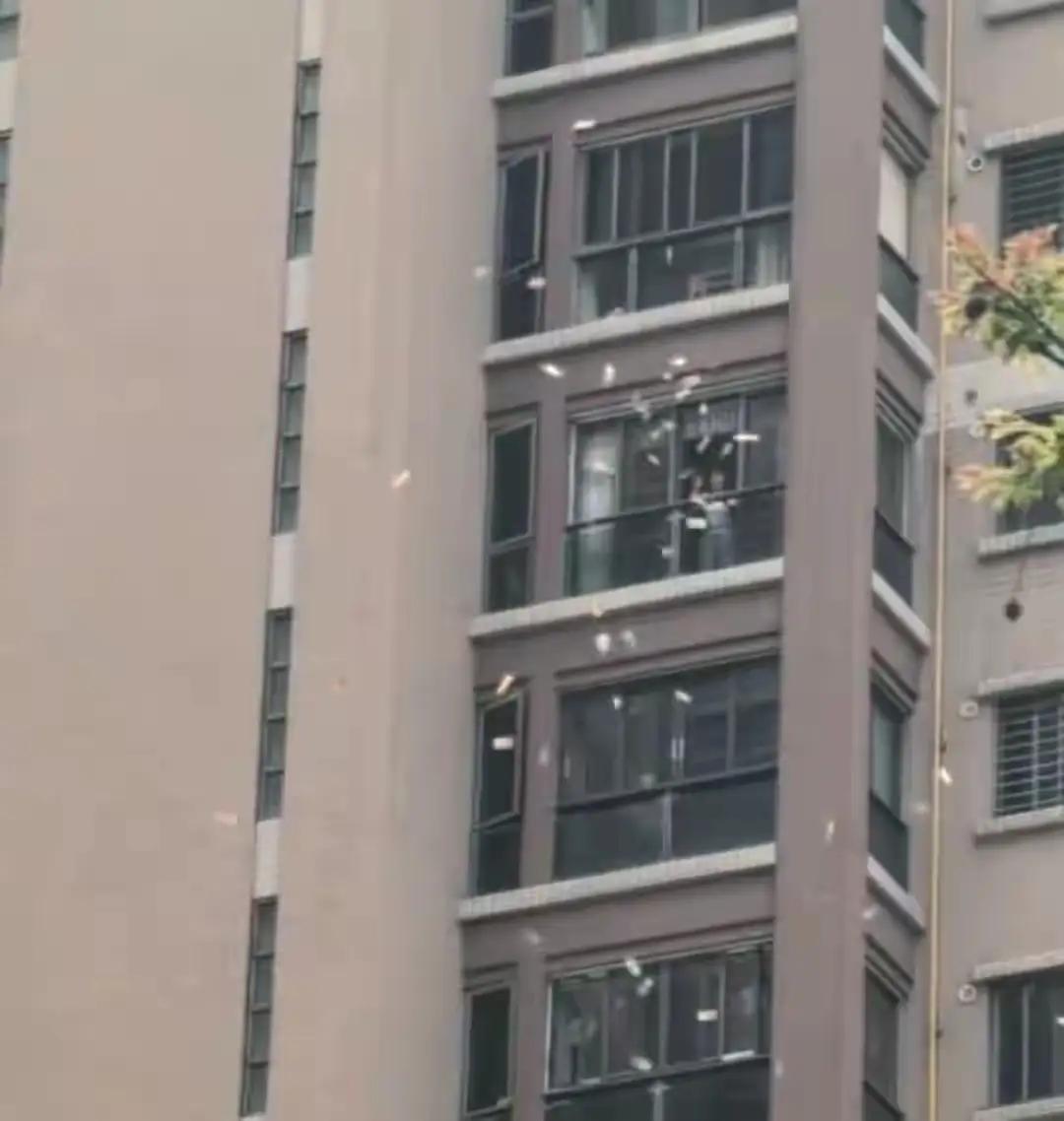 4月14日，广东汕头合信·星湖城小区有人从高空抛撒 100多万港币 ，引发楼下人