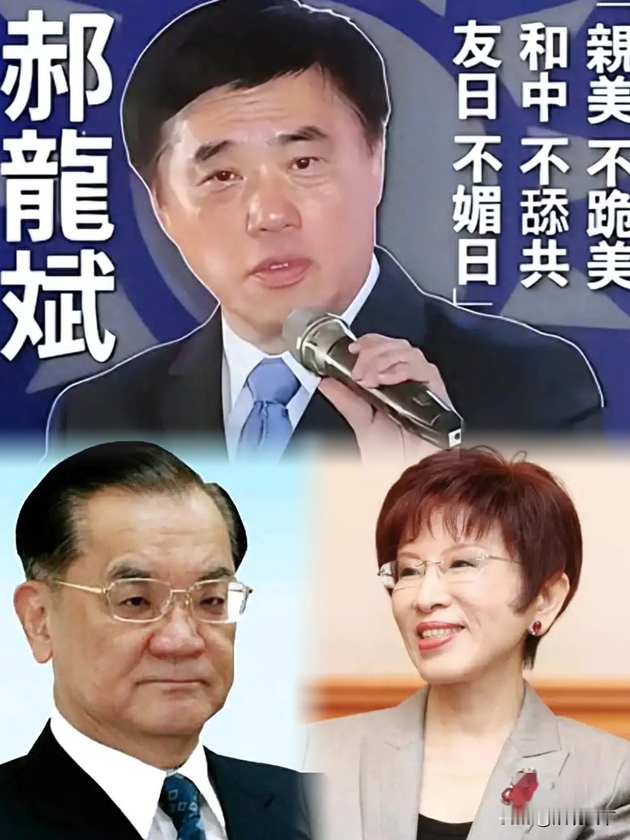 郝龙斌意外“翻车”
国民党主席参选人郝龙斌11日参加辩论会时，“失言”，谈到“舔