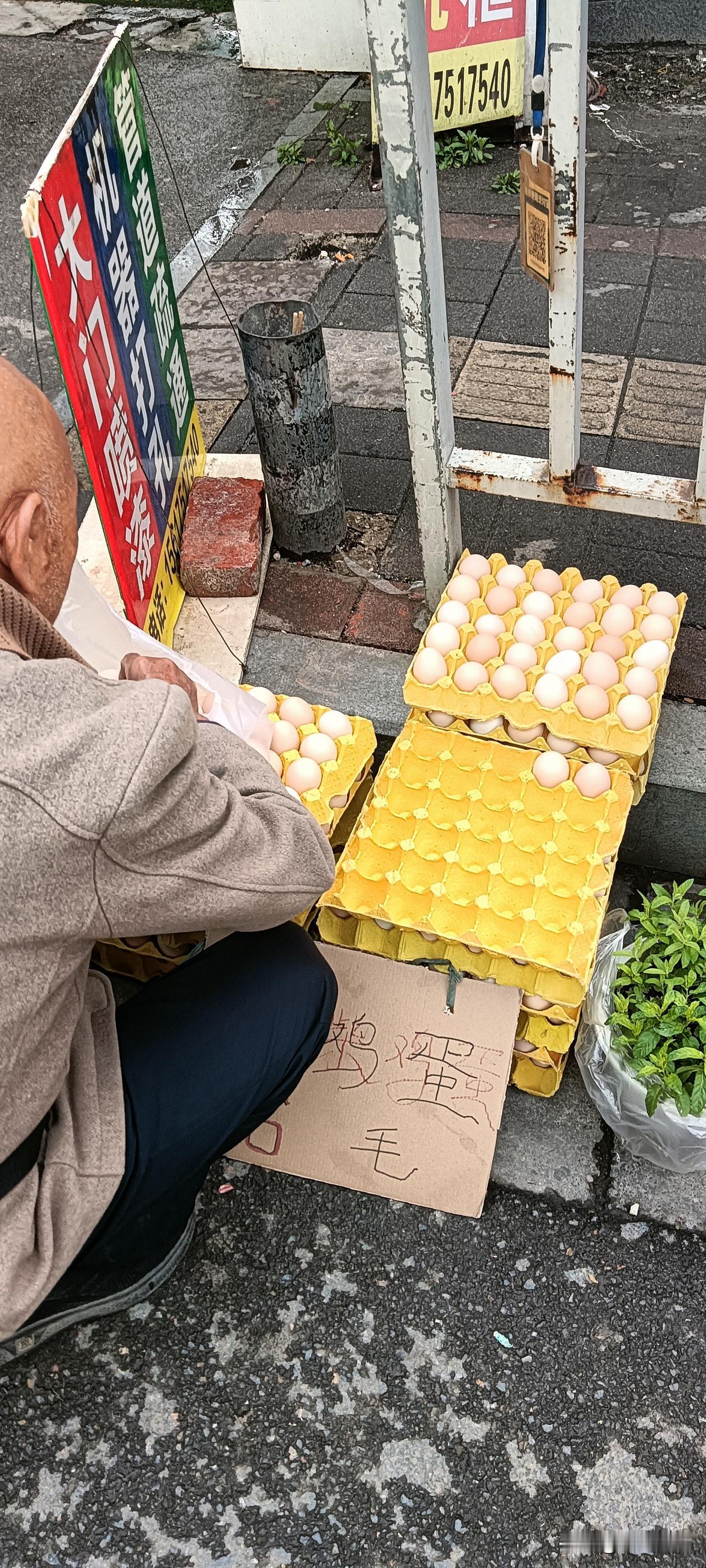 街头最暖的烟火气，
藏在6毛一个的鸡蛋里[抠鼻]

今天路过街角，被一个小摊戳中