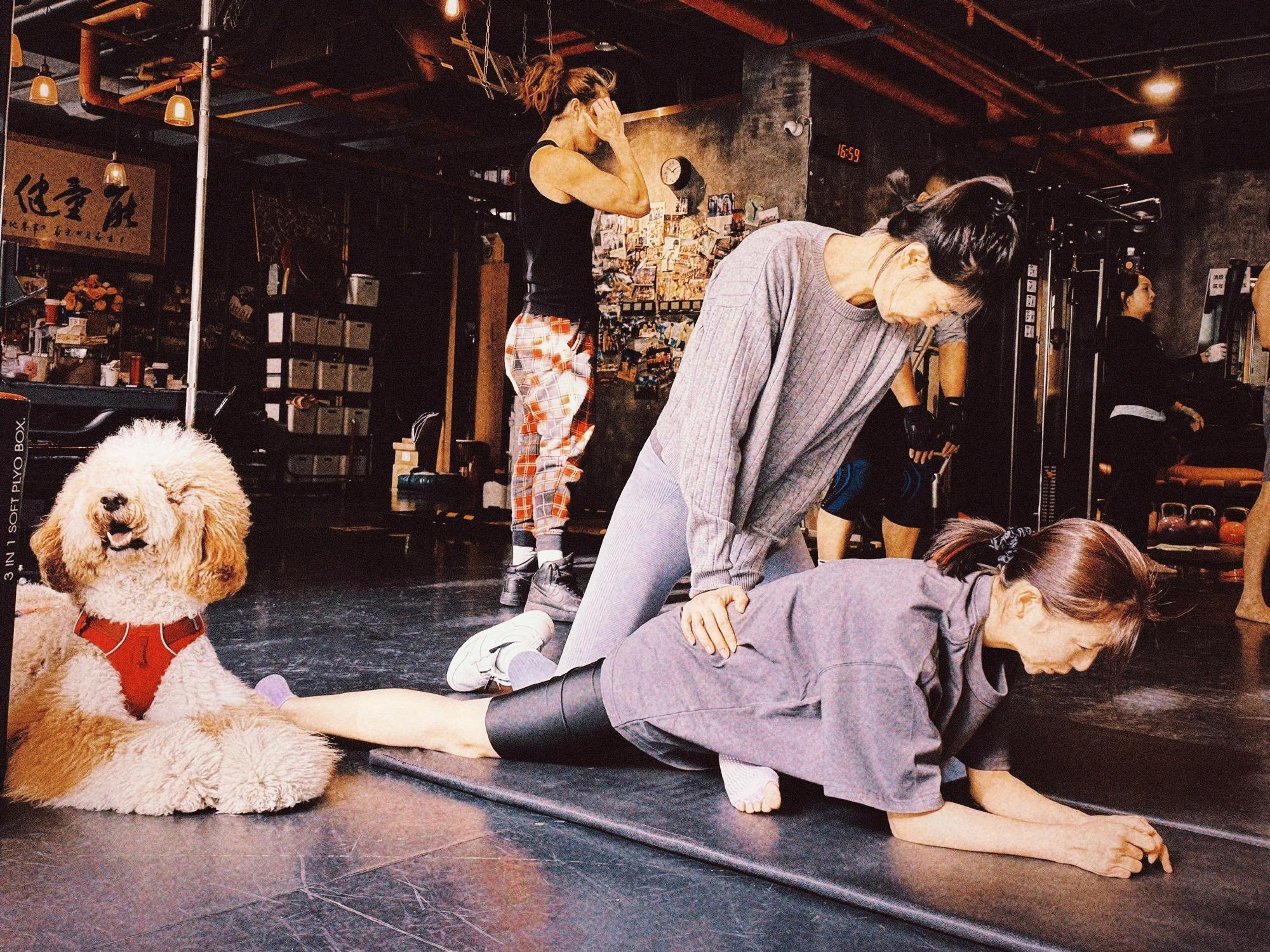 佟丽娅的一组健身照，姐姐身材管理棒棒的。佟丽娅