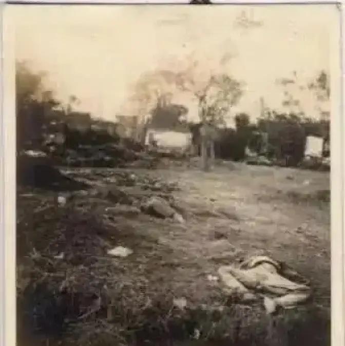 俺昨天刚从中国新闻网看到，正在南非参加20峰会的日本首相高市早苗，在接受媒体采访