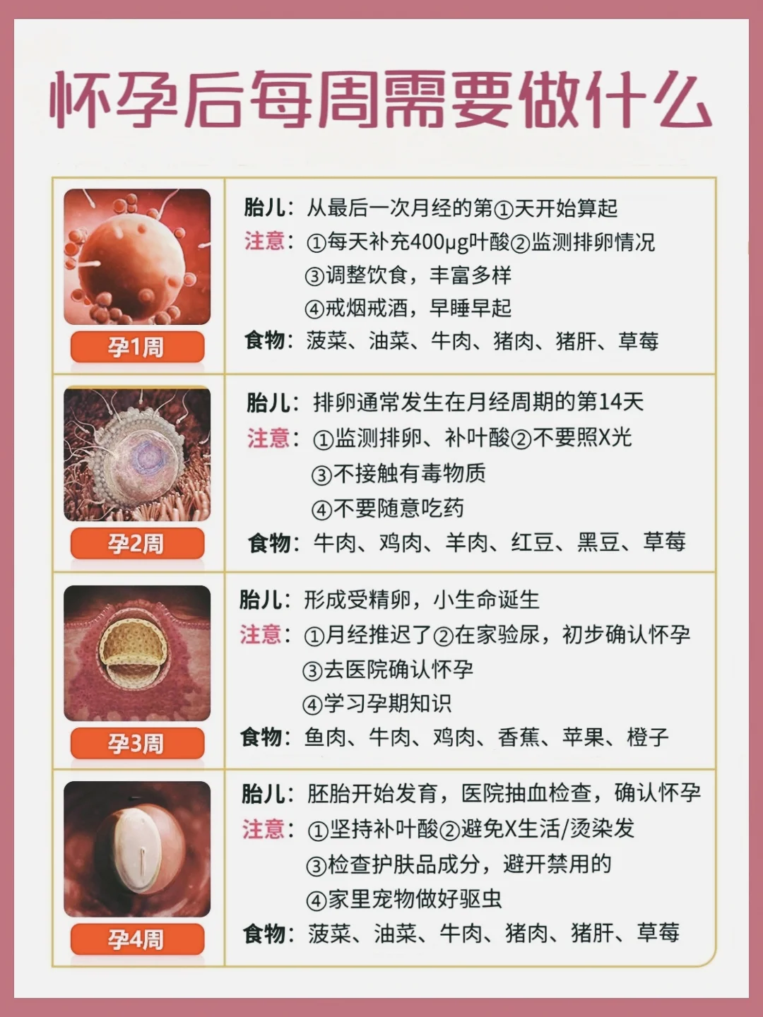 怀孕后每周需要做什么？孕一周到孕40周攻略