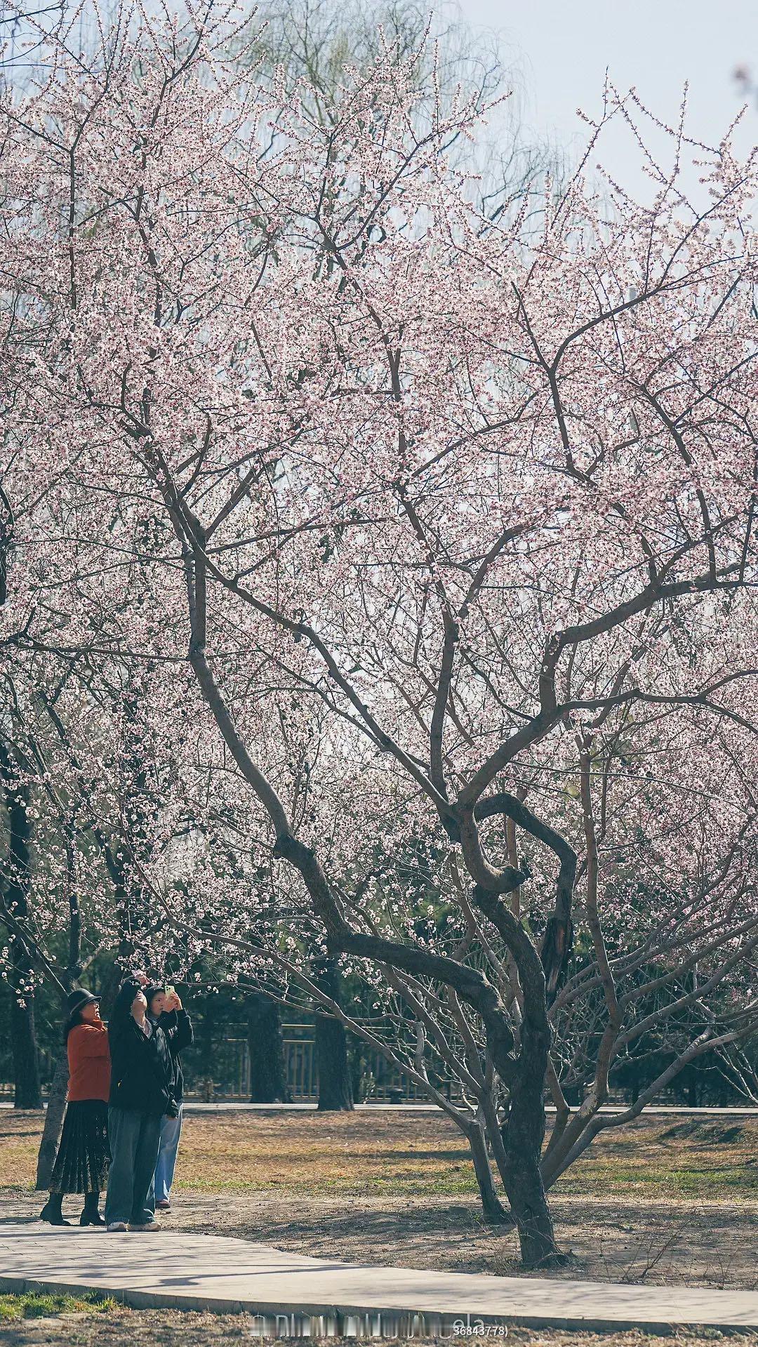 这7件事做了会后悔：

1，早上洗澡洗头，寒气入袭阳气受损
2，天刚亮就锻炼，血