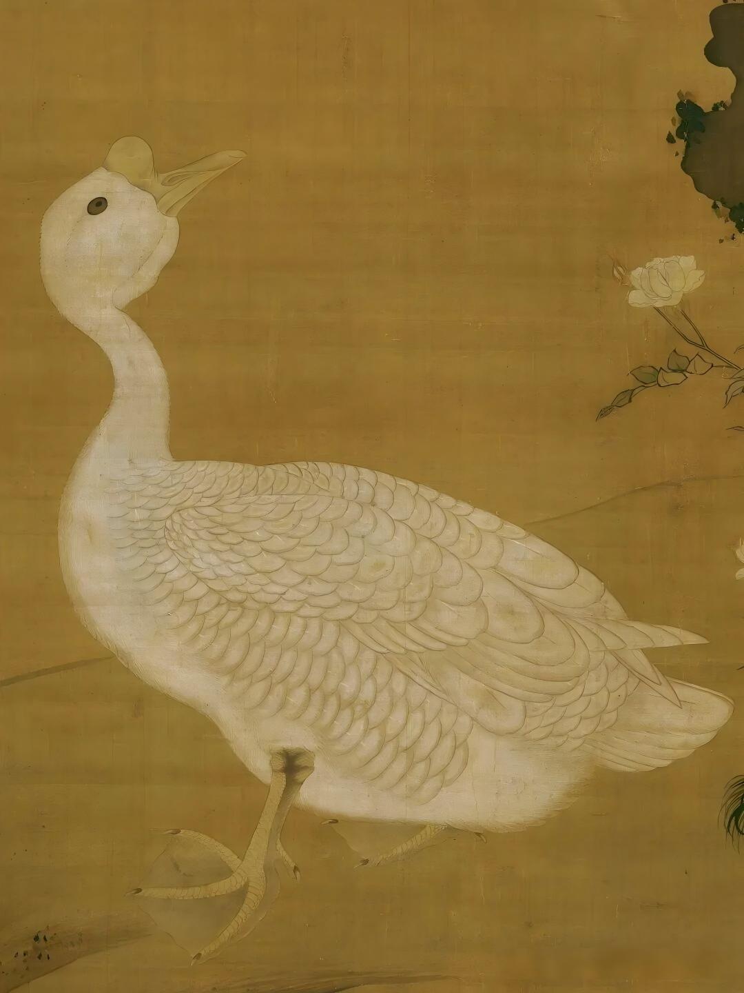这个明朝锦衣卫头子，居然画也画得这么好！（明 吕纪《狮头鹅图》）