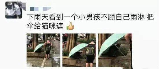 太温柔了吧