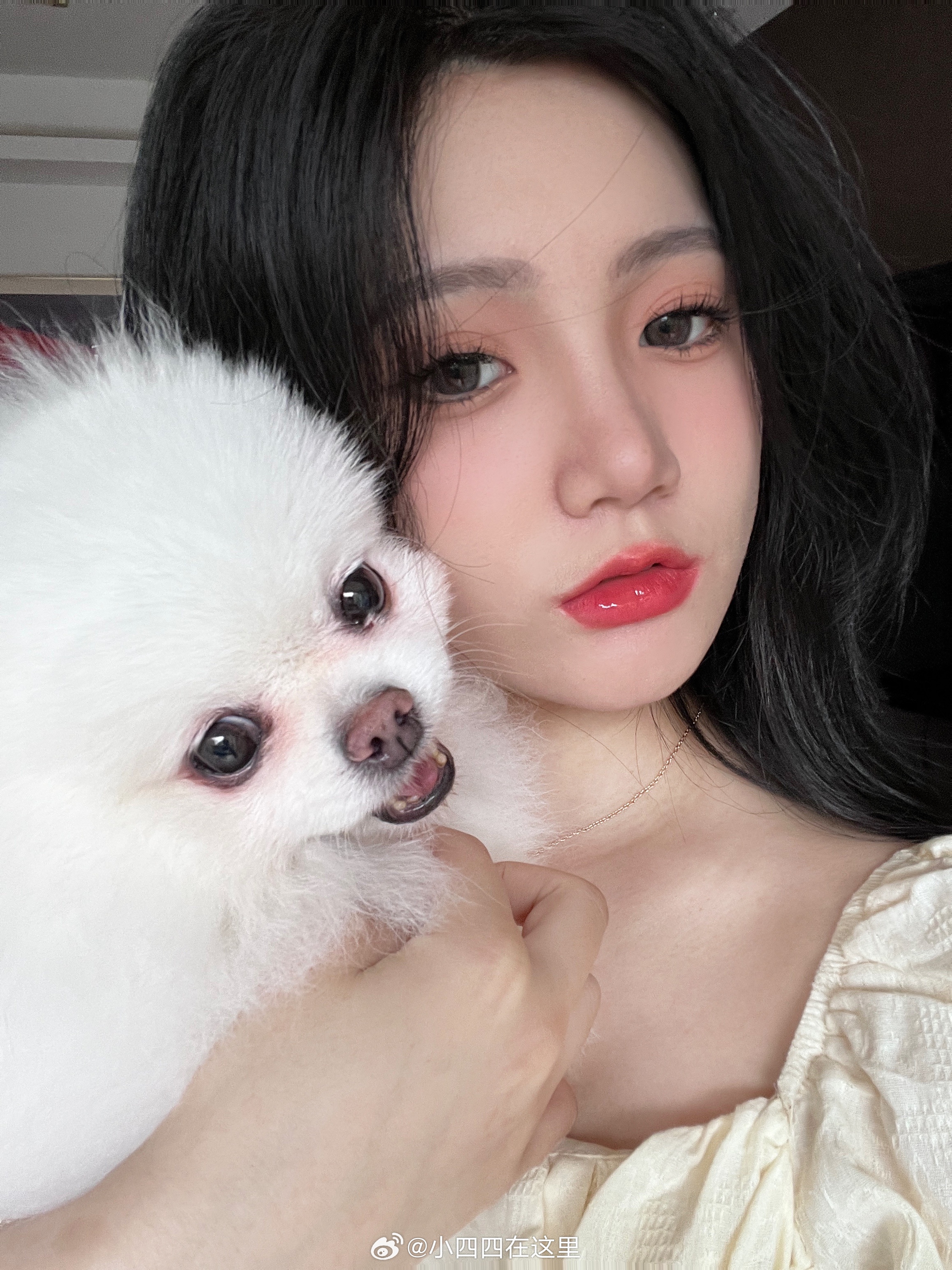 谢谢你陪伴我这八年👼小布里 