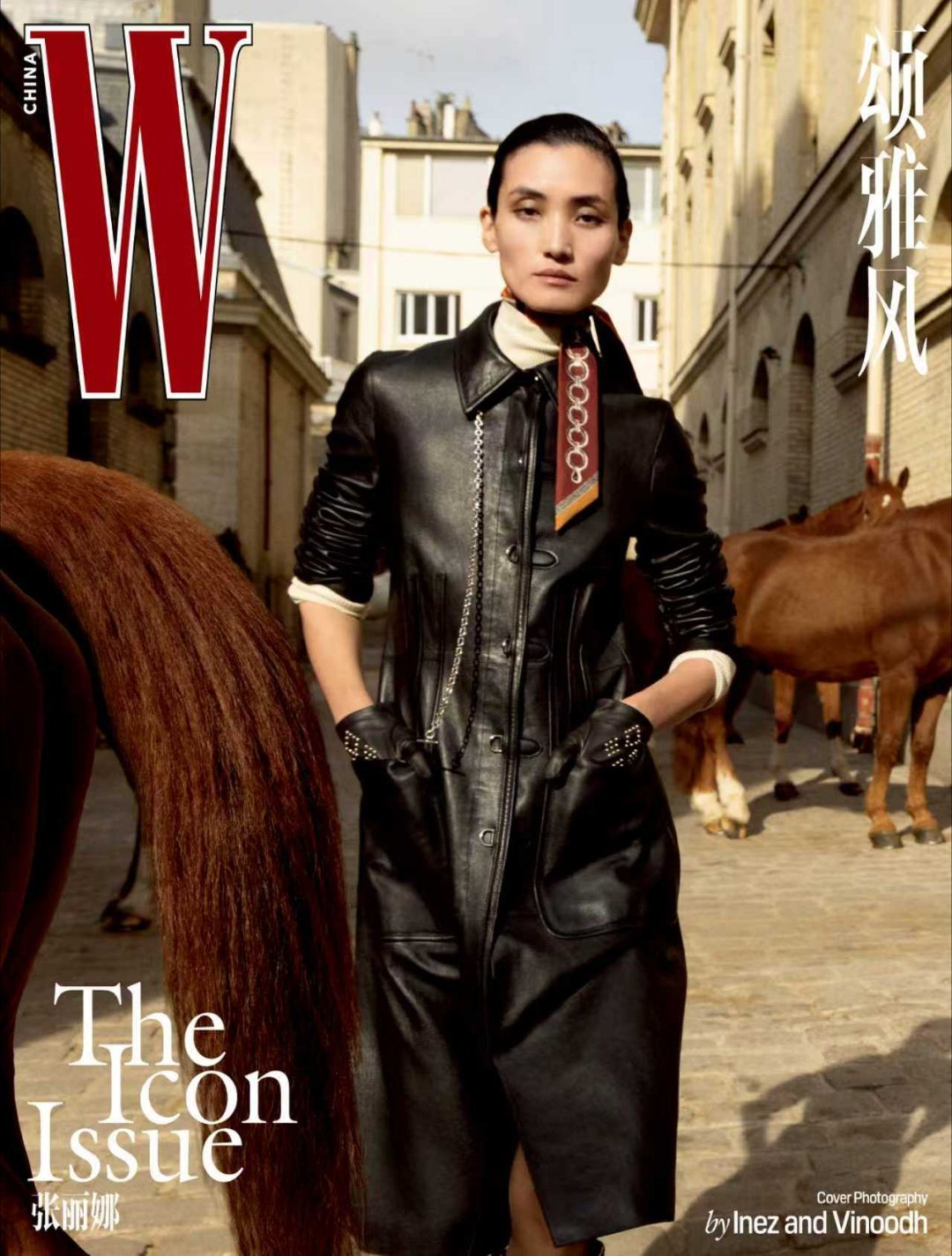 贺聪张丽娜二登W中文版封面W中文版《The Icon Issue》封面，贺聪、张