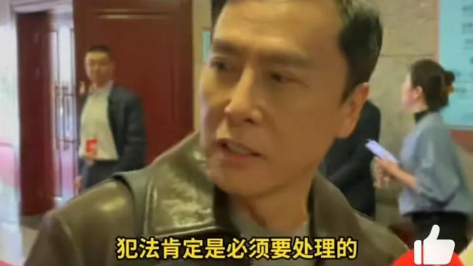 甄子丹两会发声：王大陆教唆打人，法律红线不容触碰
台湾艺人王大陆教唆打人事件持续