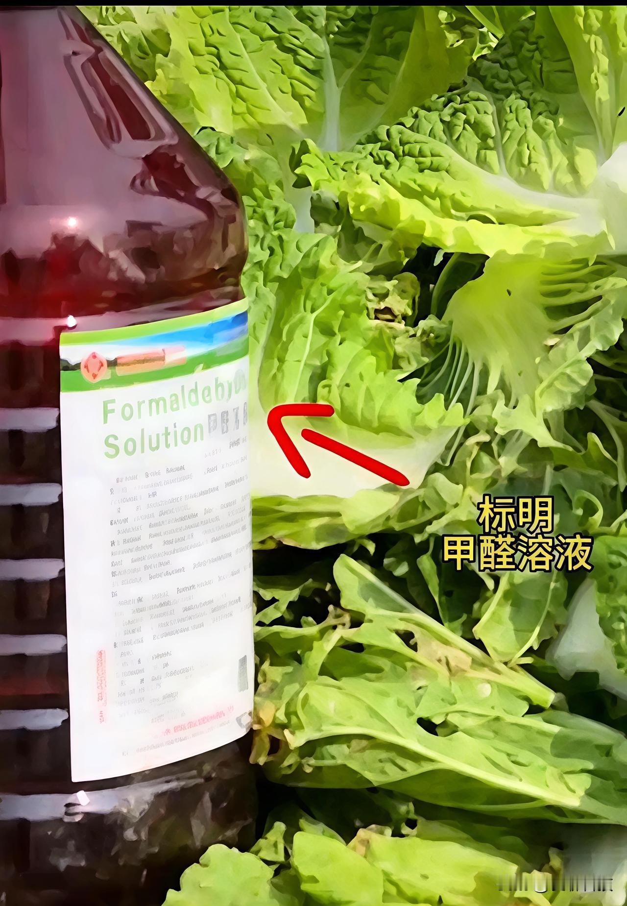 张家口甲醛白菜这事儿，越挖越让人冒冷汗。

现场工人说了句大实话：只有装大车外运