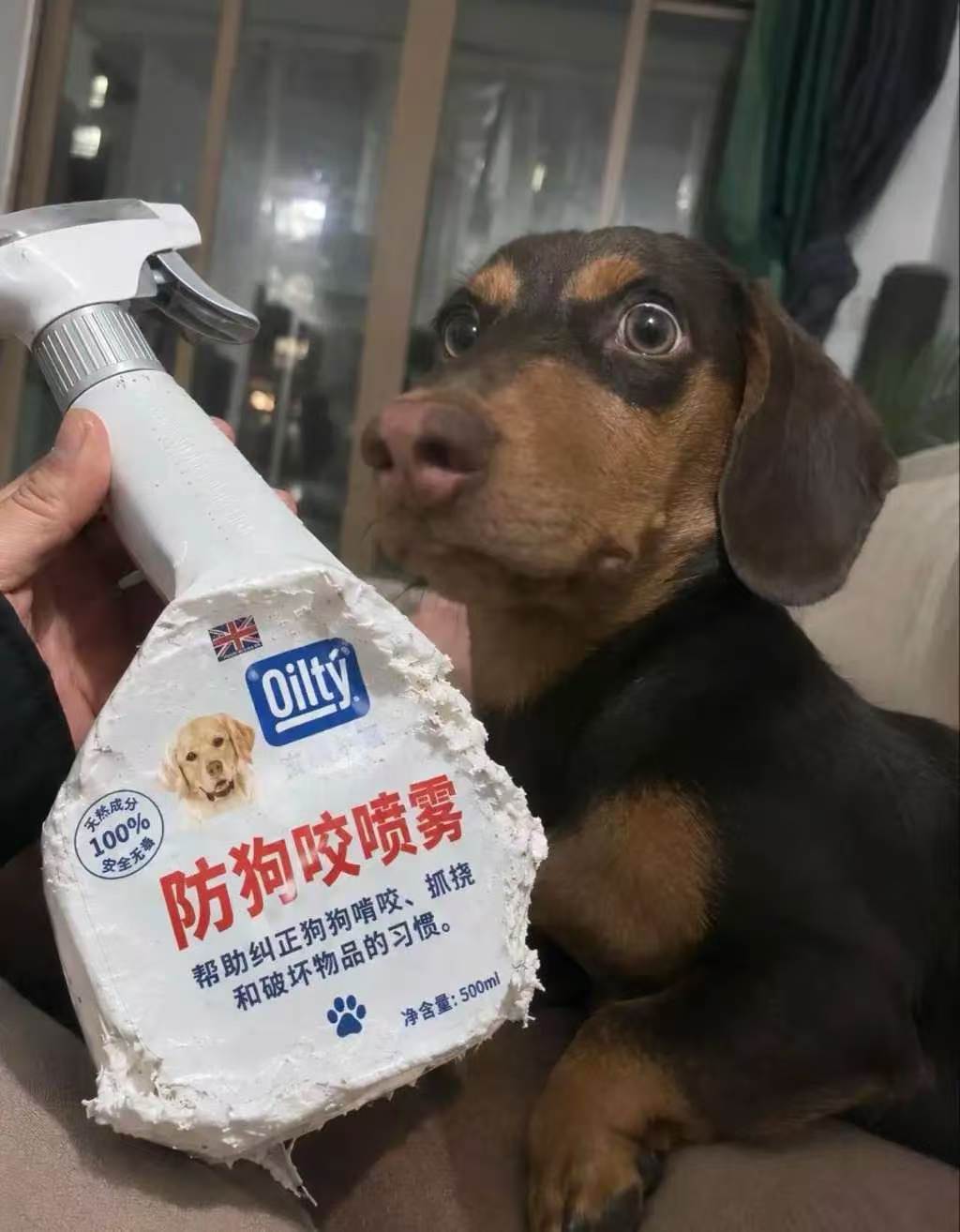 哈哈 ​​​
