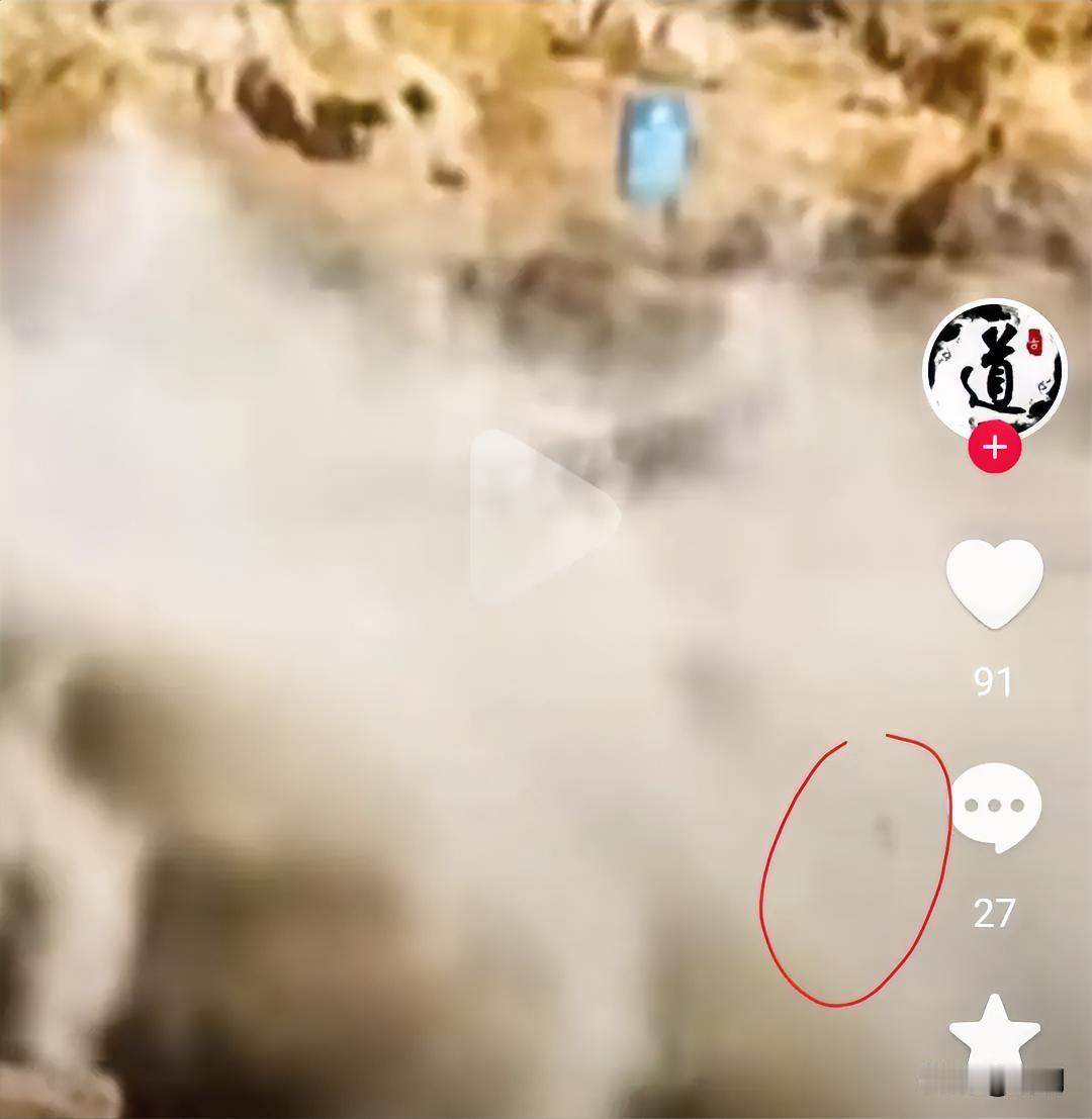 温岭9岁小孩被巨浪卷走，仔细看视频，就能看见浪中一个小黑点，大概就是被冲走的小男