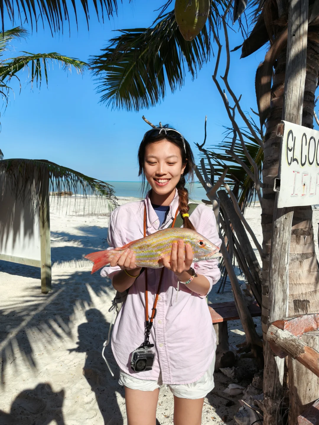 海岛上仅有的亚洲面孔🇲🇽物产丰富的holbox