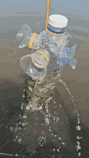 小雨
鱼：今天我是非死不可吗？