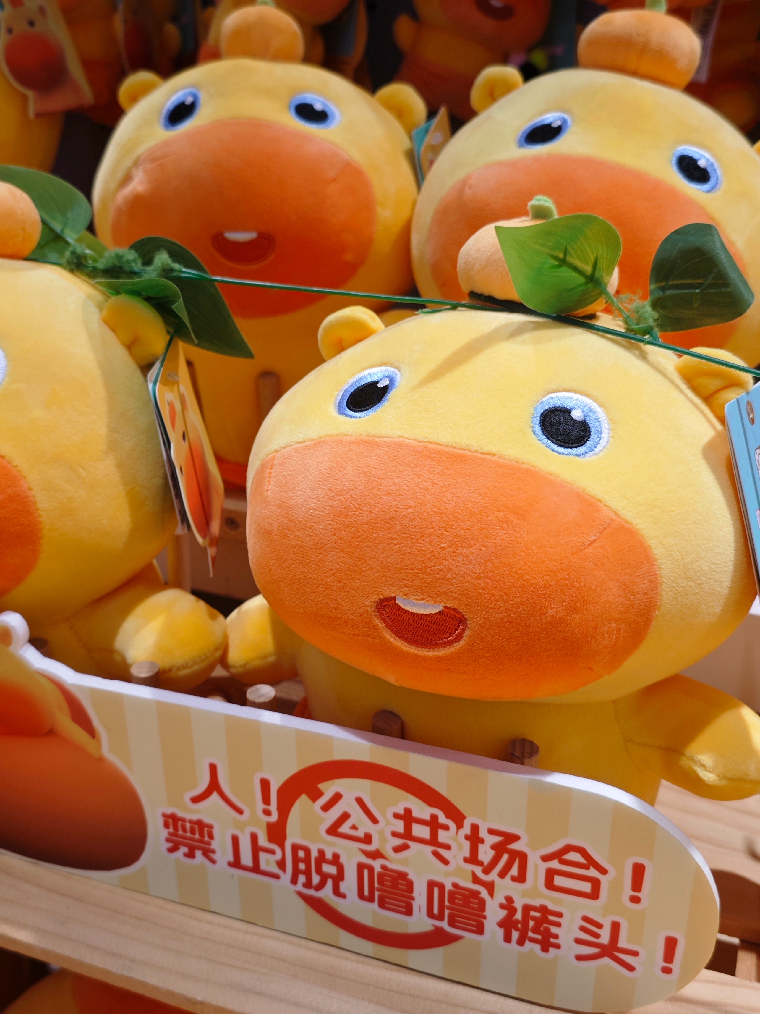 人！公共场合！禁止脱噜噜裤头！ 