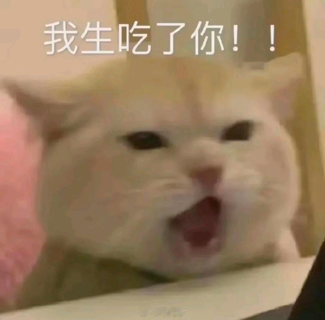 早安打卡！怎么又又又上班了，我的内心毫无波澜只想放假 #呆阿拿[超话]# ​​​