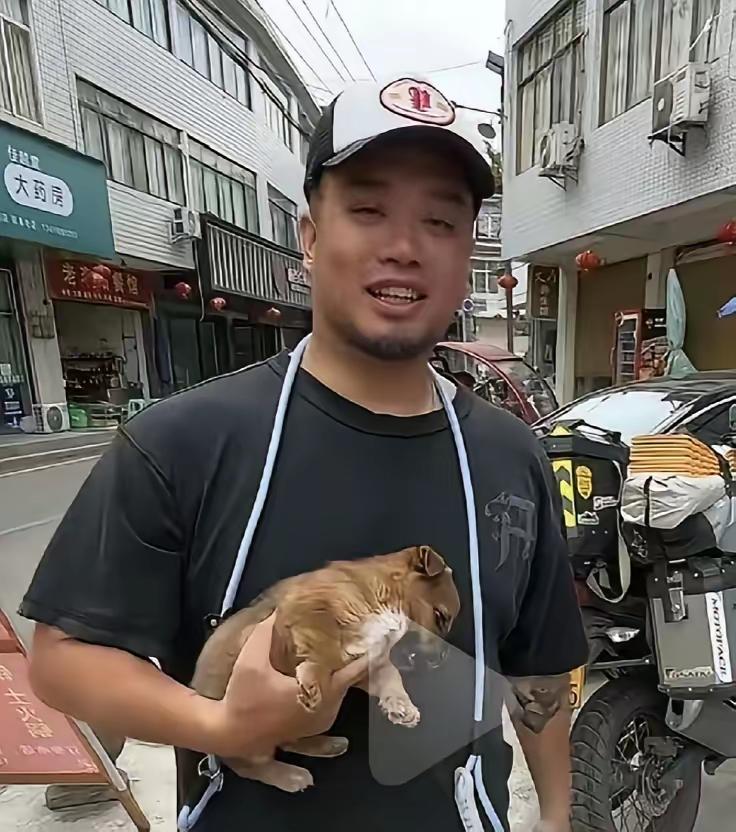 笑死了！网红让网友给狗投票取名，结果"清德"高票当选，直接涨粉五万带货爆单！
 