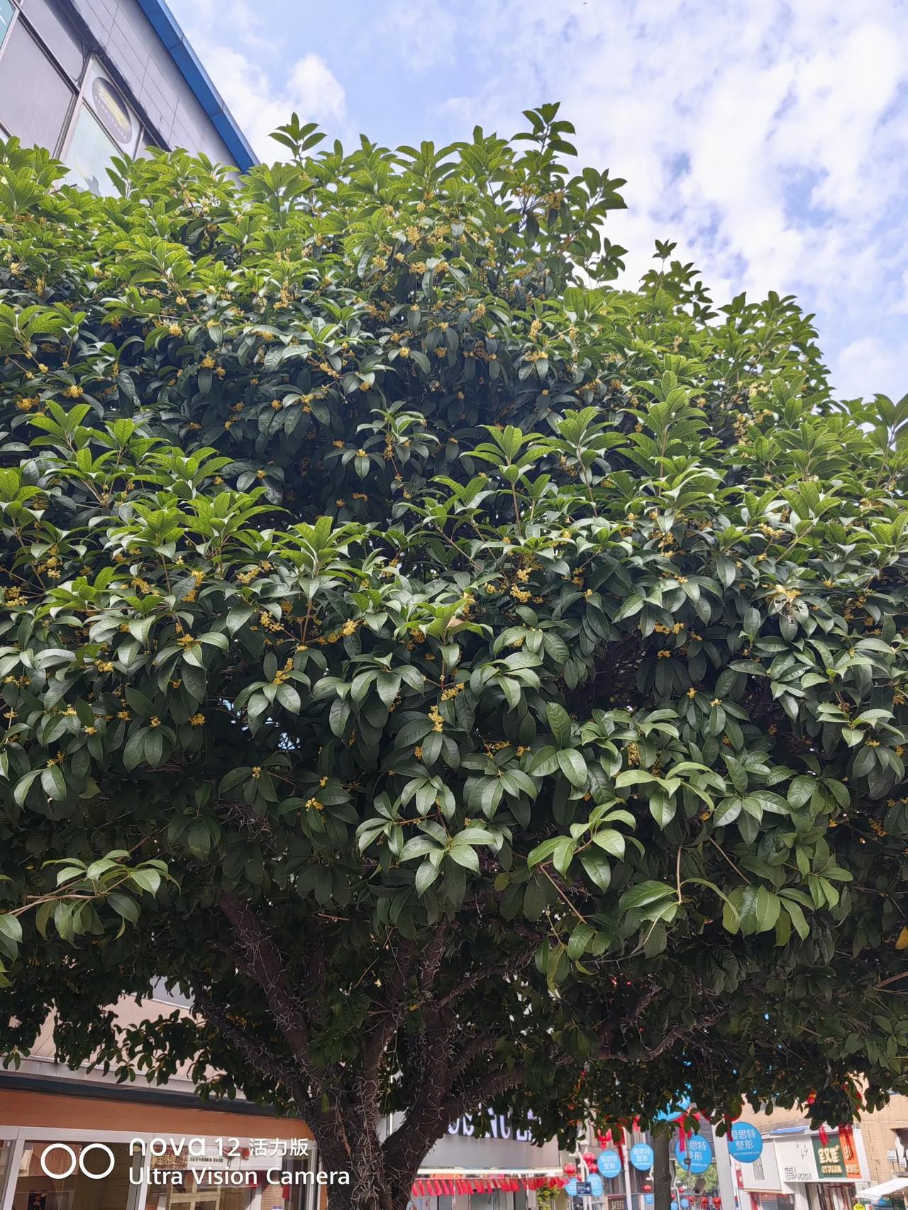 老师给的题
有退休金还要出去打工吗？说真的。有退休金就不要出去打工了，打工很辛苦