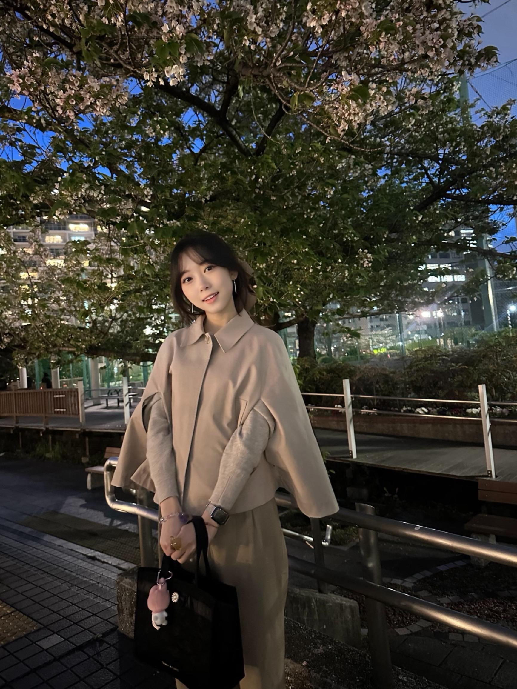 天王洲的樱花树