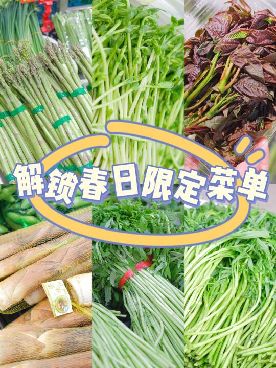 荆楚春味｜一口鲜灵，解锁春日限定菜单🌱