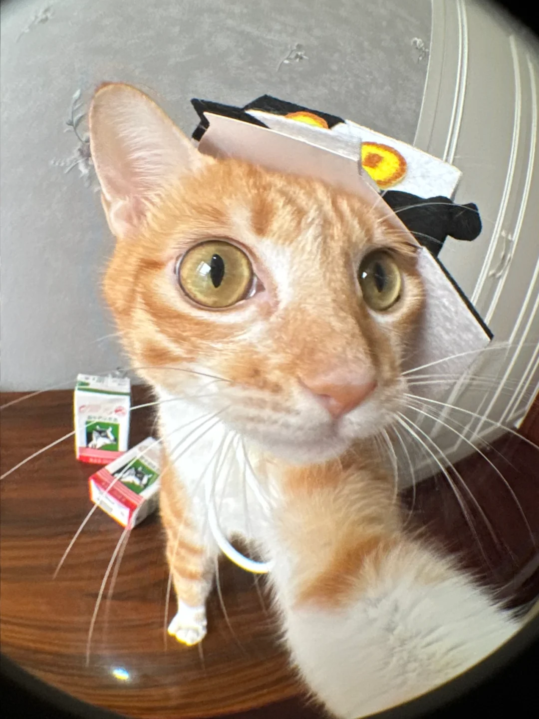 人，今天咪是莱刘