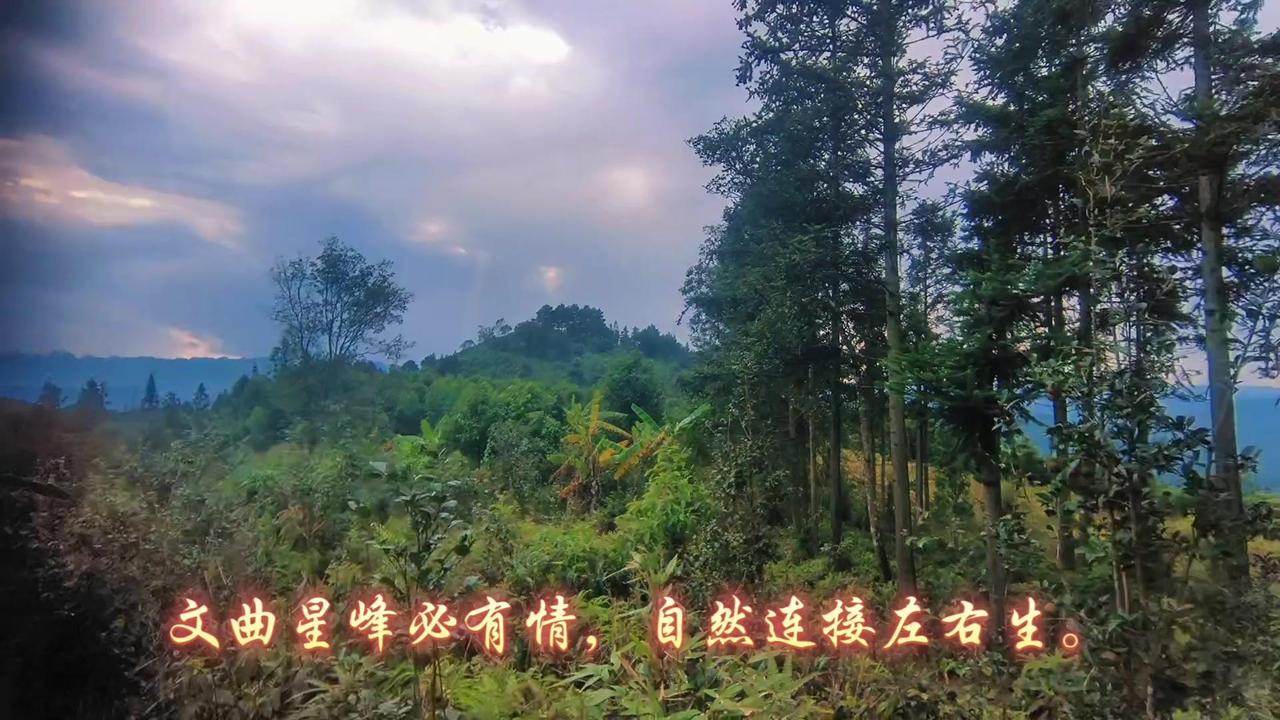 这首关于文曲星峰的诗句读起来朗朗上口，细节处字字有考究。
1️⃣文曲星峰必有情，