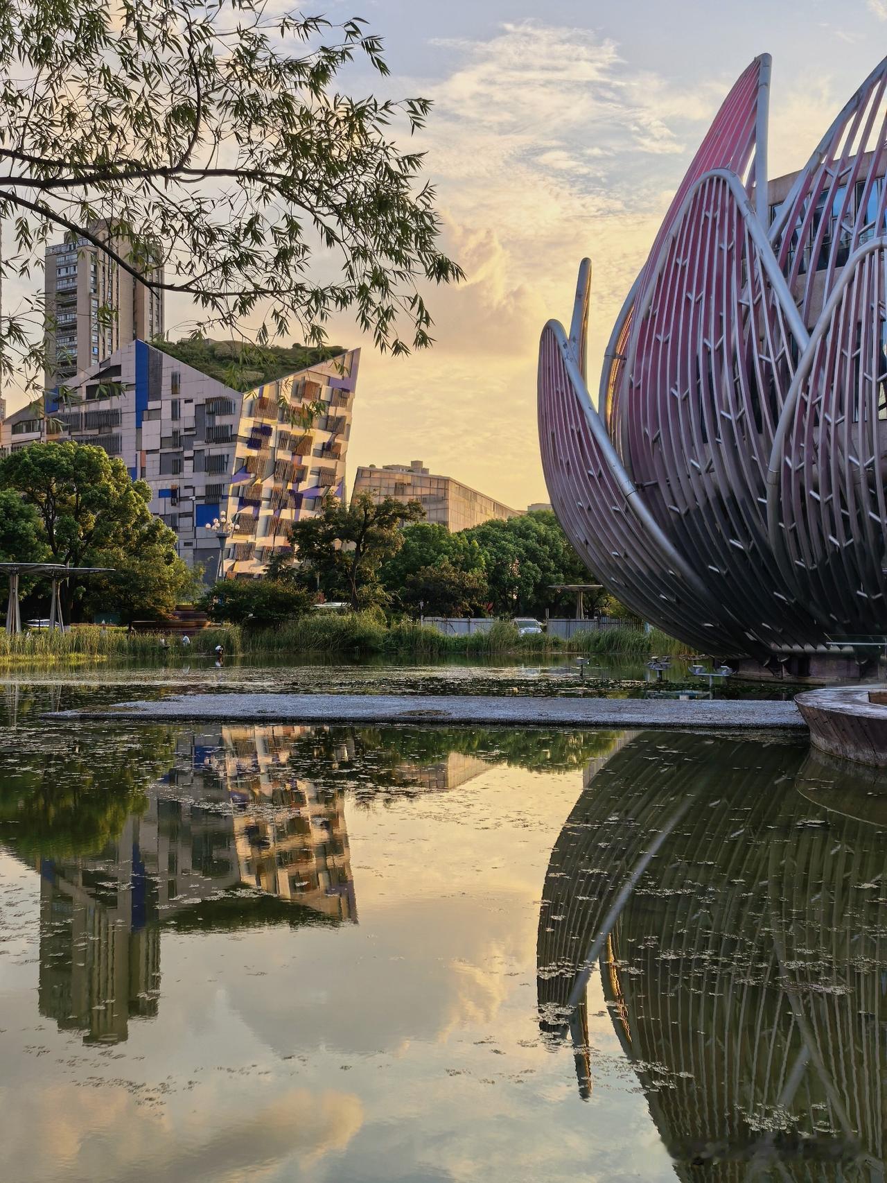 初秋傍晚，市民广场上的水光夕阳景。