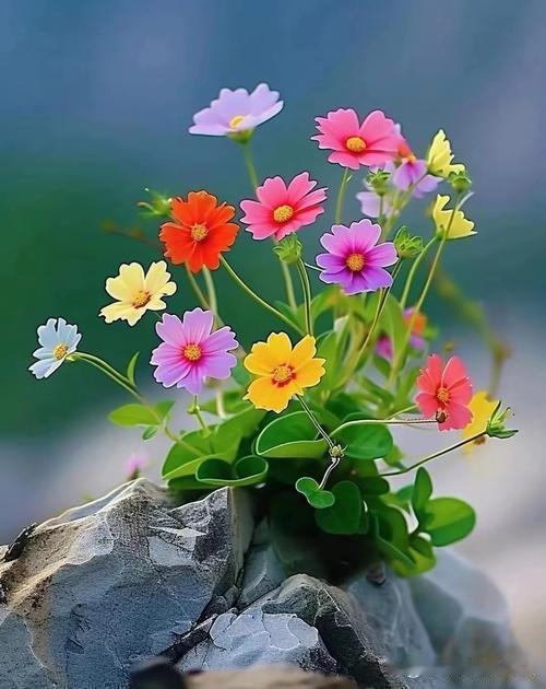 老小孩老小孩，老人像小孩，小孩可爱，老人也逗，每天有个老人逗你笑，笑的开开心心，