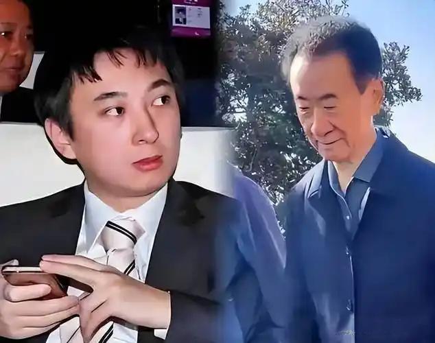 王家父子轮番被“限高”，是巧合还是必然？商业巨轮的命运转折点
 
曾经挥金如土的