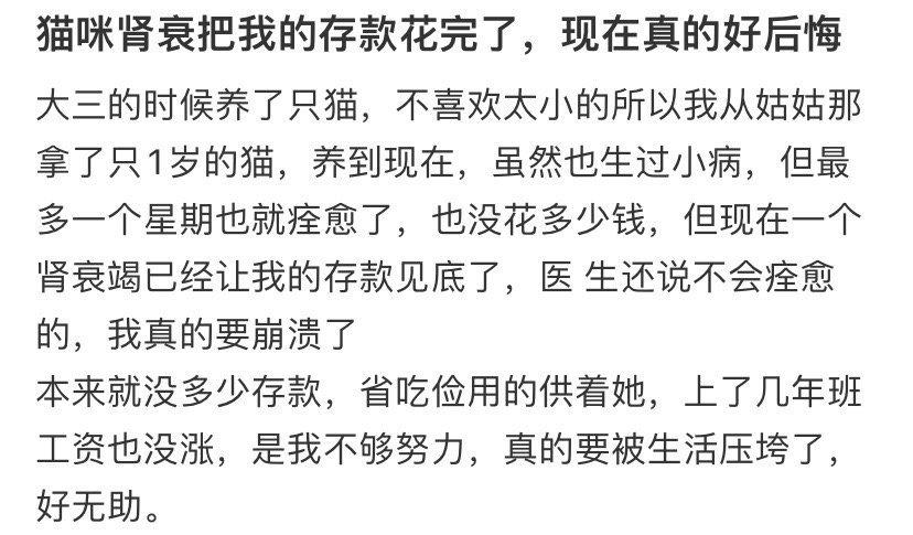 猫咪肾衰把我的存款花完了，现在真的好后悔 ​​​