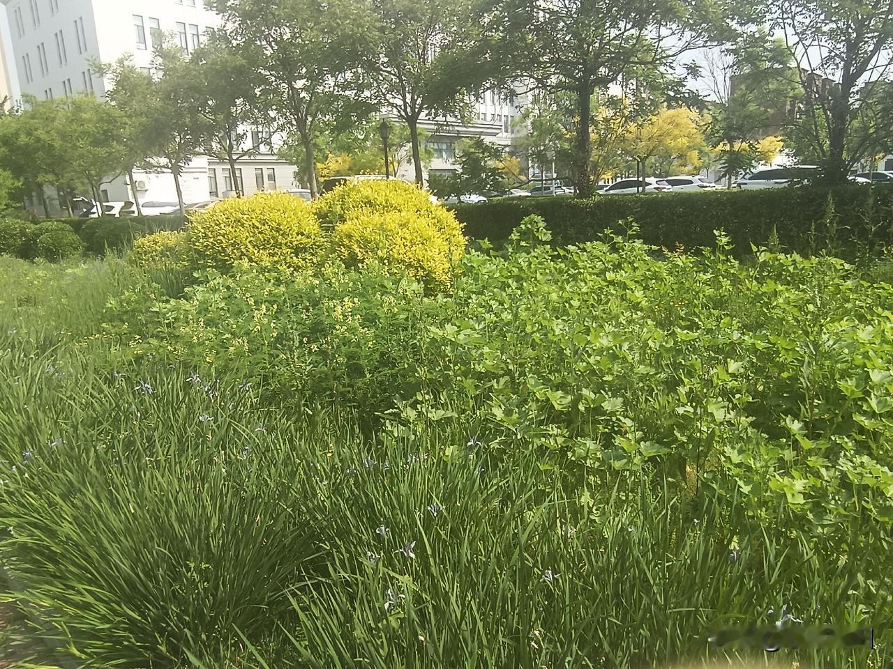 一生中,女人忘不了哪几个男人?女人这辈子心里总有几处温柔角落，藏着难以释怀的男人