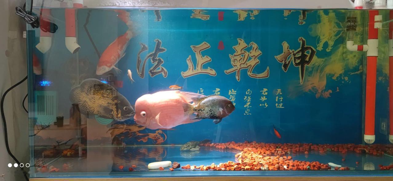实习律师第167天
        律师要有人文关怀。
        今早直接
