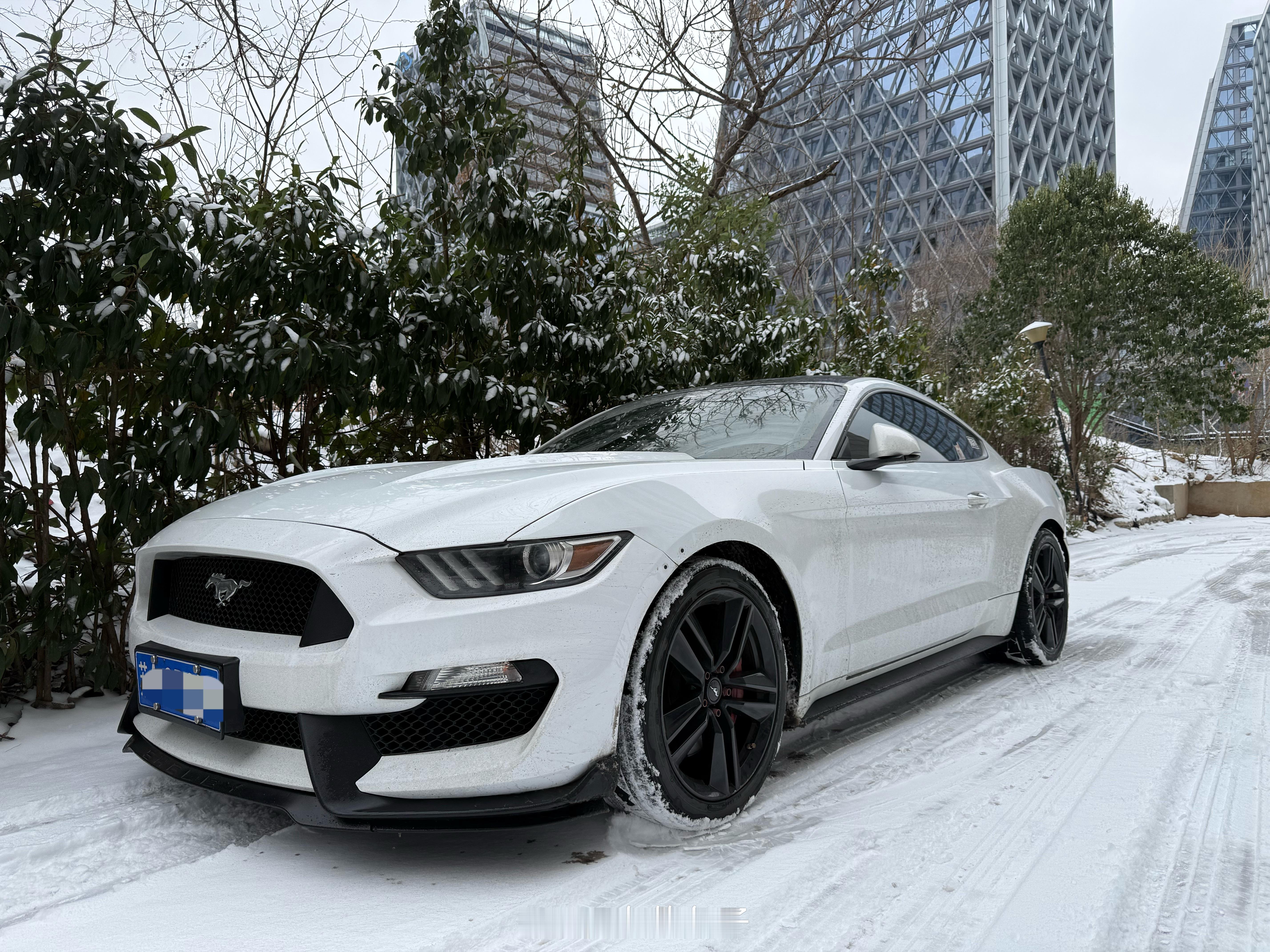 祝大家马年顺遂，马到成功，马上牛B我与汽车的日常新年快乐汽车
