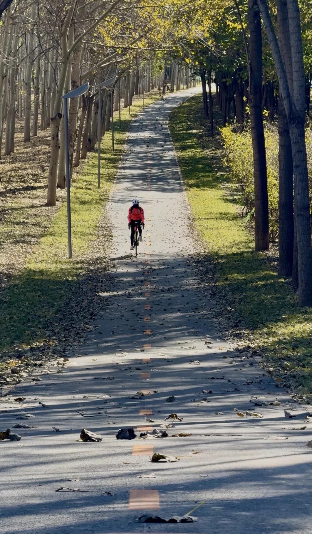 坝河焕新，这条绝美的路线值得再次奔赴
坝河至温榆河路段已焕然一新，骑行道基本完工
