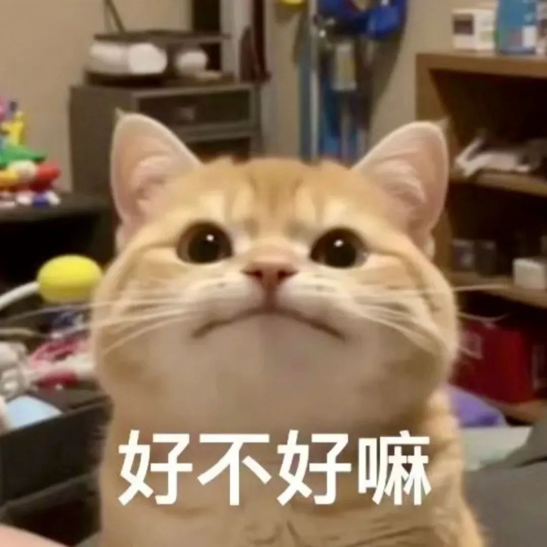 猫咪表情包｜我打电话告诉你妈妈 