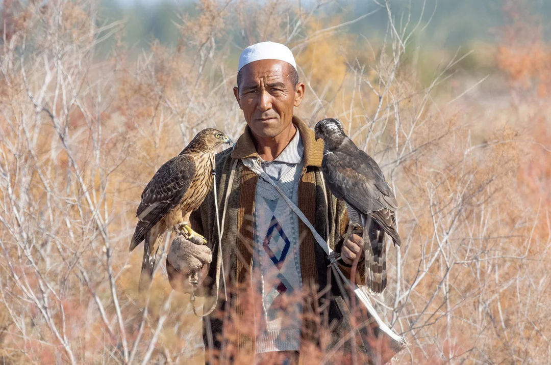 似梦非梦的草原生活