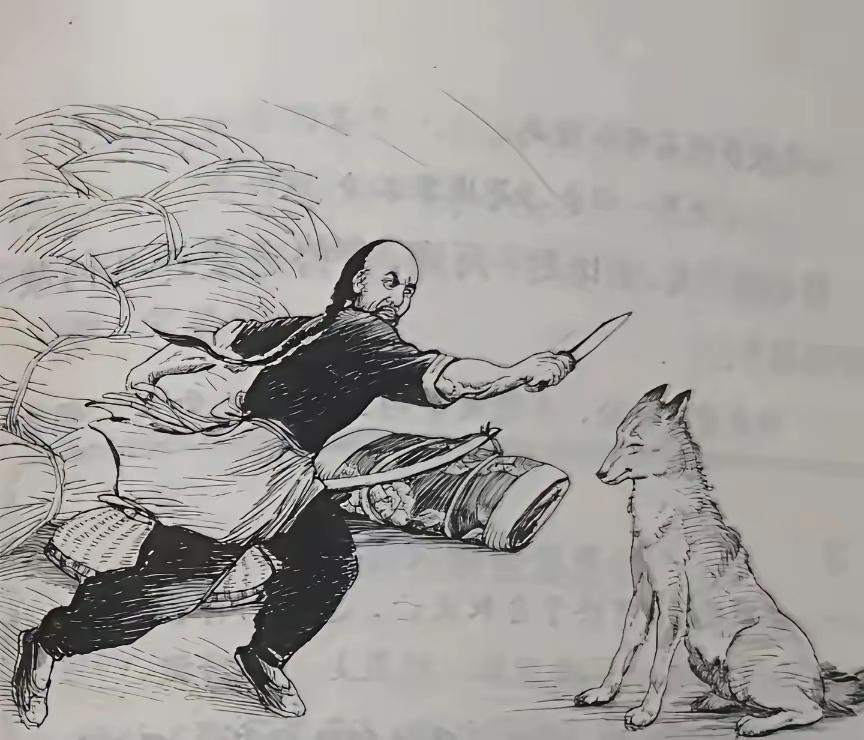 看图片这是哪篇课文，怎么没印象了，谁还记得吗？讲述的什么故事呢？课本里的场景
