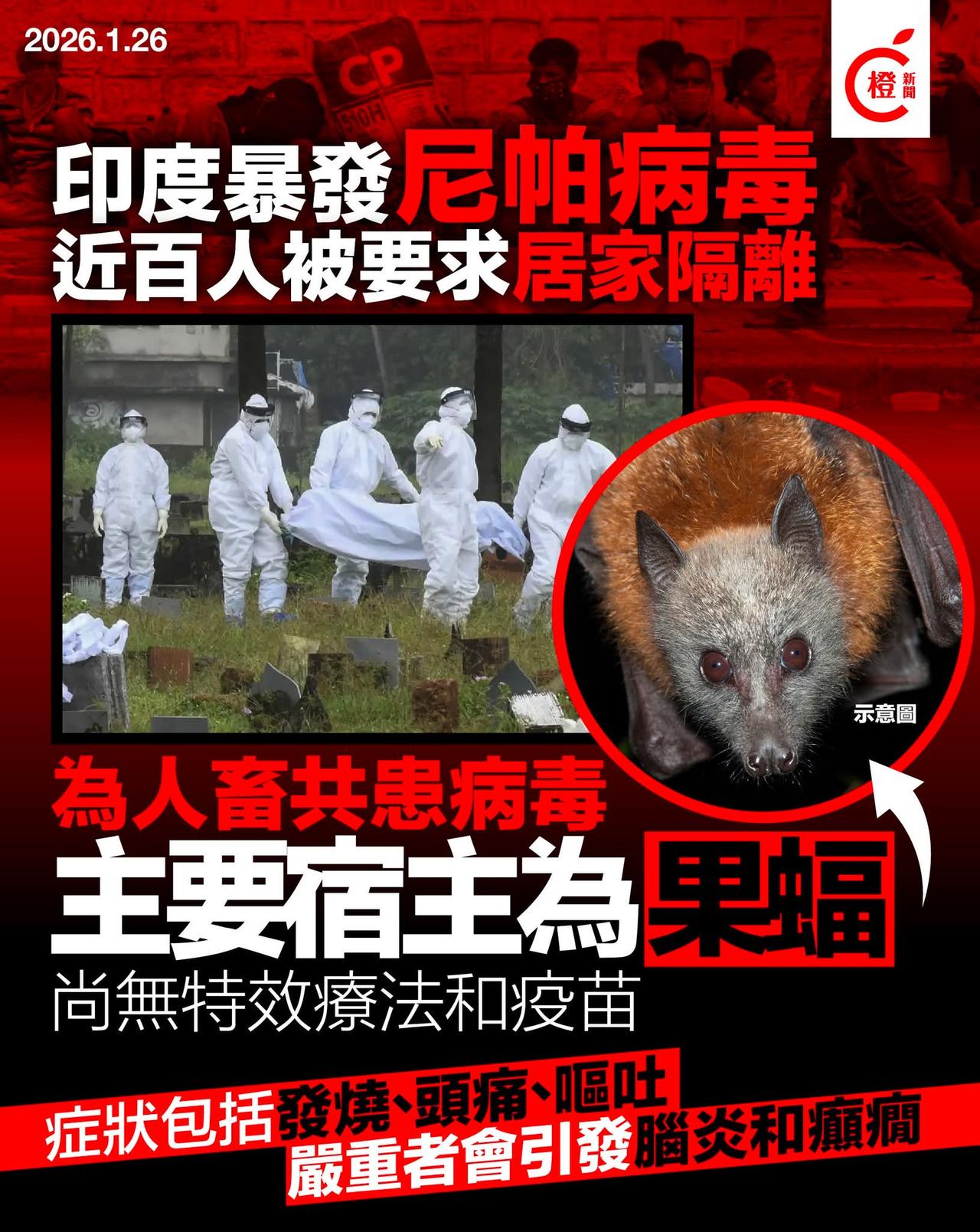 【高sir提提大家要小心:印度出现尼帕病毒疫情，死亡率可达40%以上】

据媒体