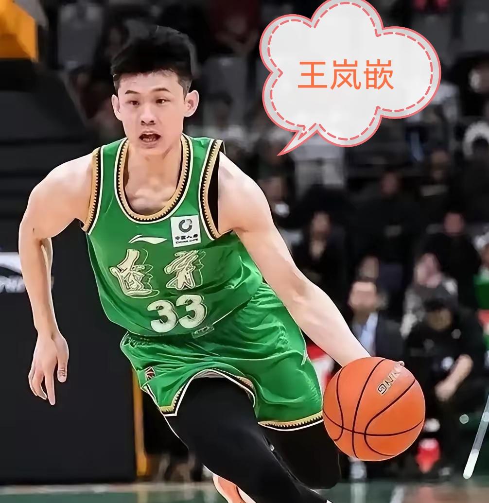 王岚嵚和姜宇星转会辽宁男篮后境遇两重天！
     浅谈辽宁男篮队阵容适配与球员