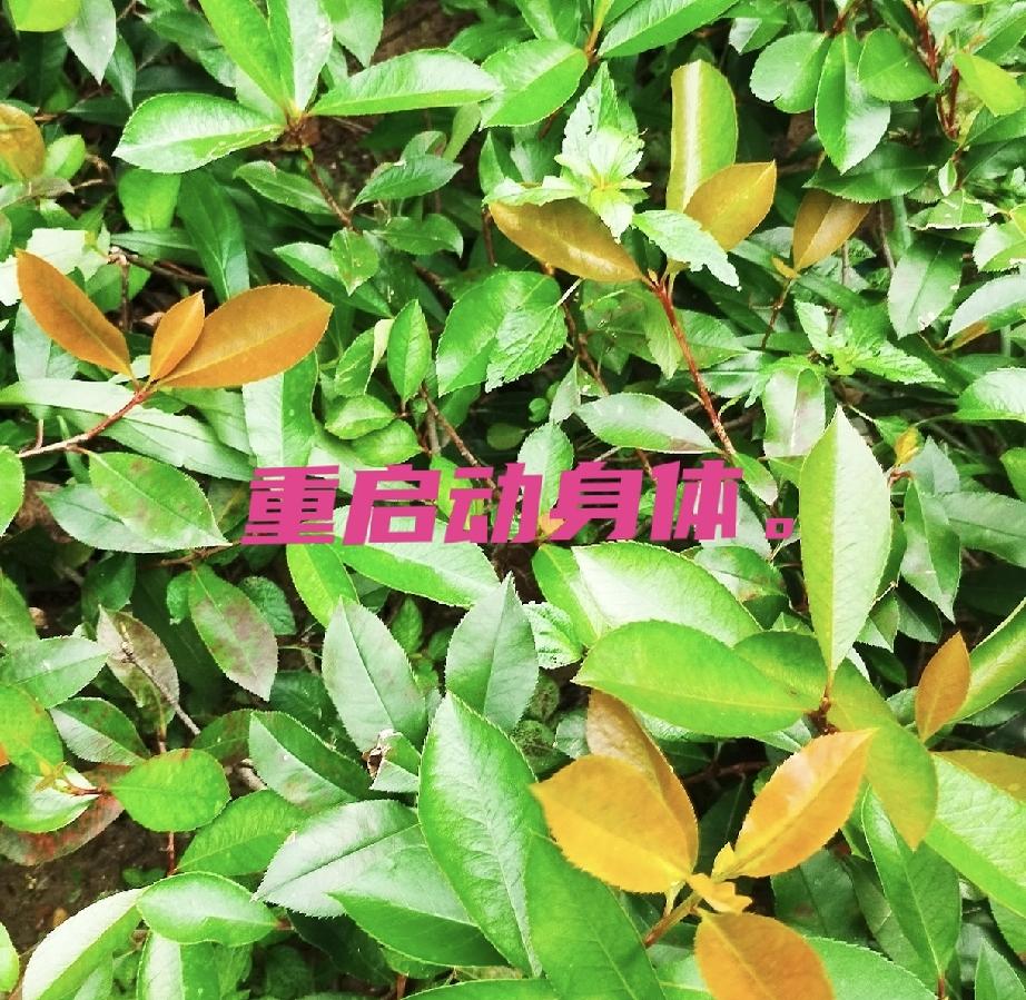 快80了，卵巢癌康复8年。
我记住了年轻时候就知道的这句话：小腿有节律运动，是向