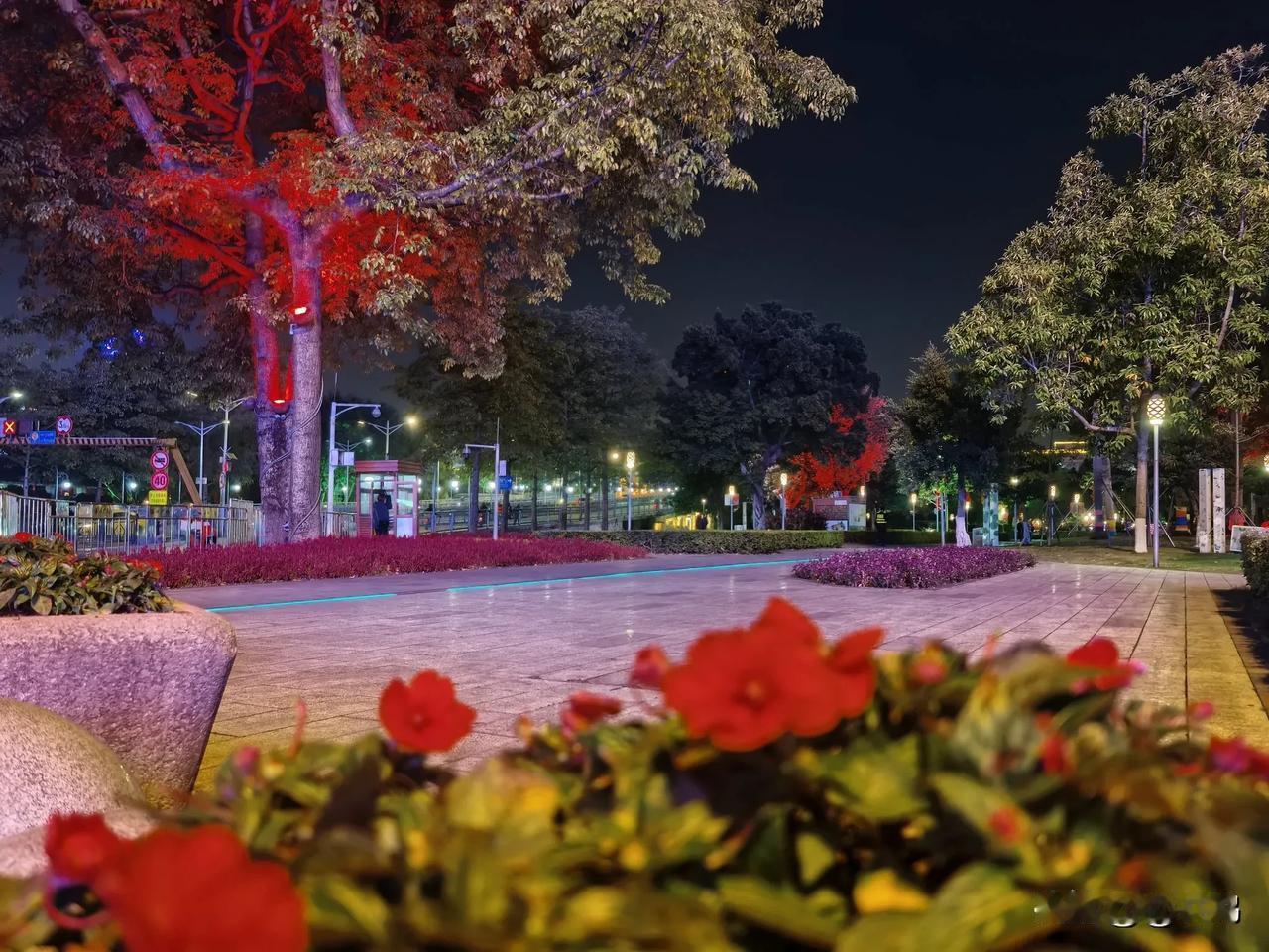 夜晚的广州海珠广场公园，
没有熙攘人群。
唯有五彩灯光在肆意铺展。
光芒倾洒于草