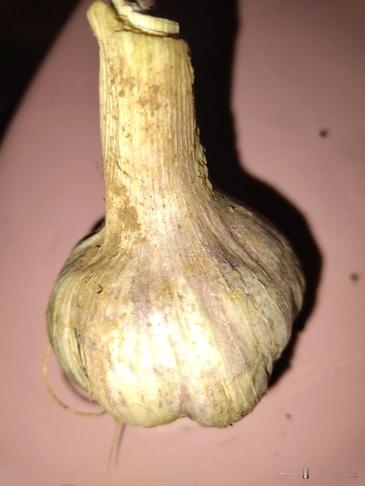 前几天腌了糖蒜
 
食材准备
 
- 大蒜：500克（挑选个头饱满、无破损的新鲜