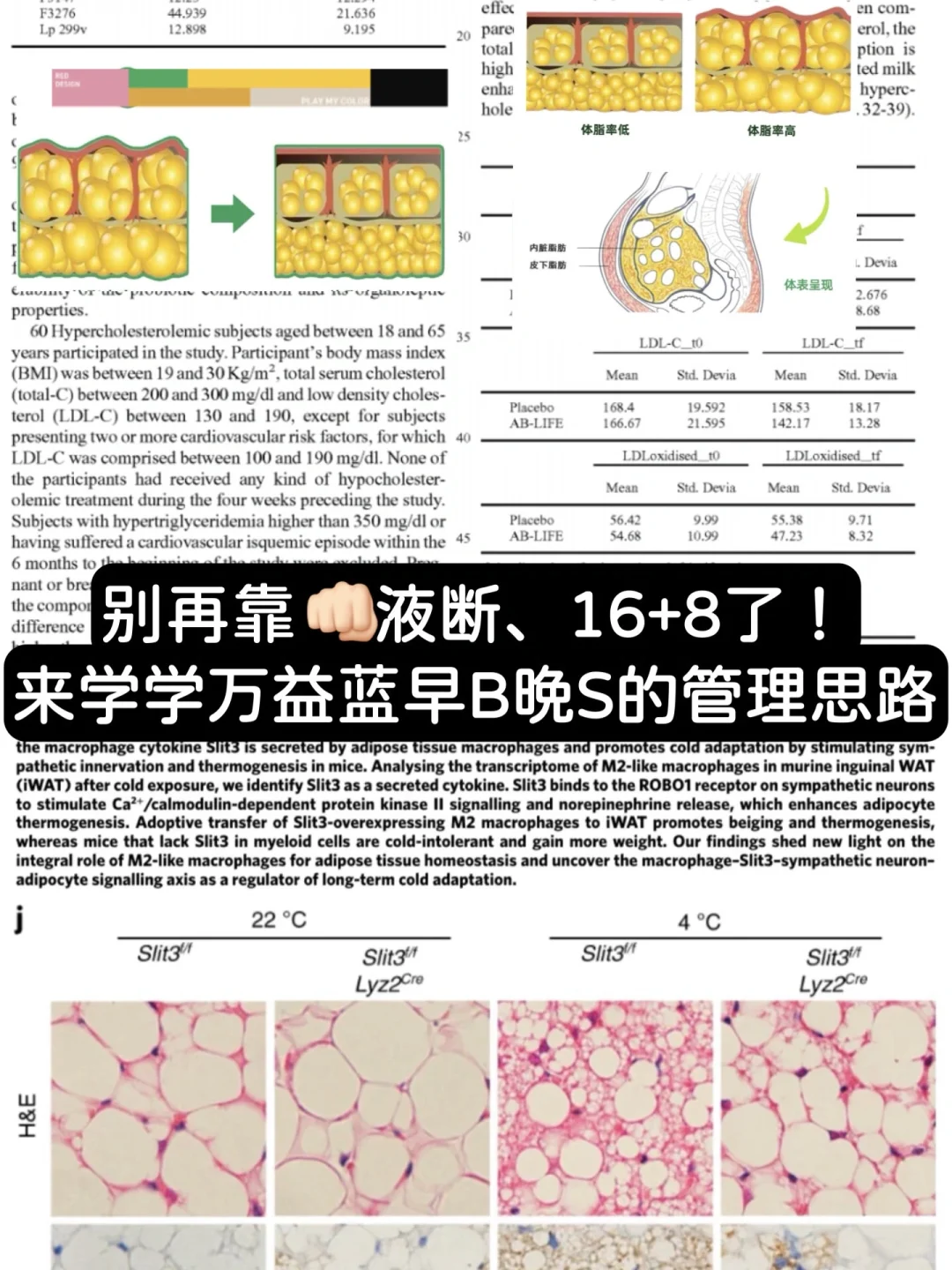 不愧是益生菌届的天菜！管理思路赢在大气层